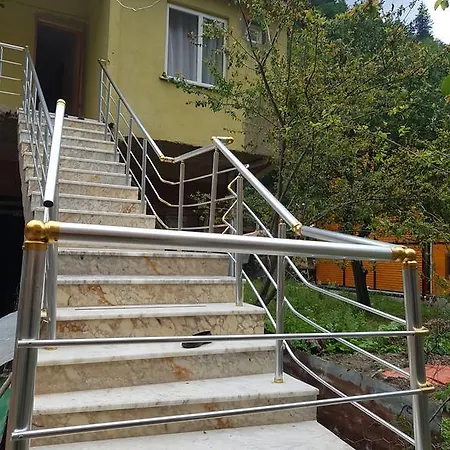 Guest Trabzon