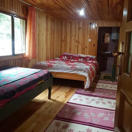 Guest Homestay