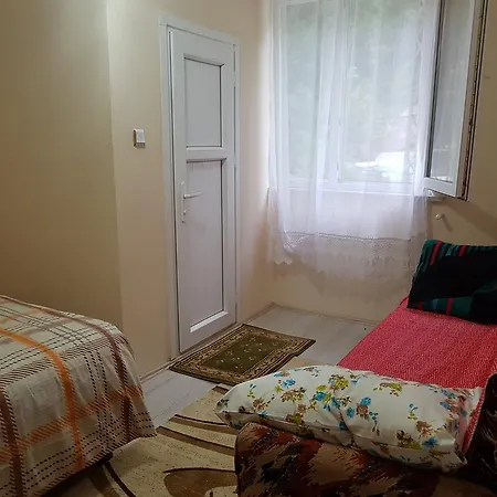 Homestay Guest *
