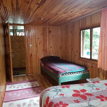 Guest Homestay *